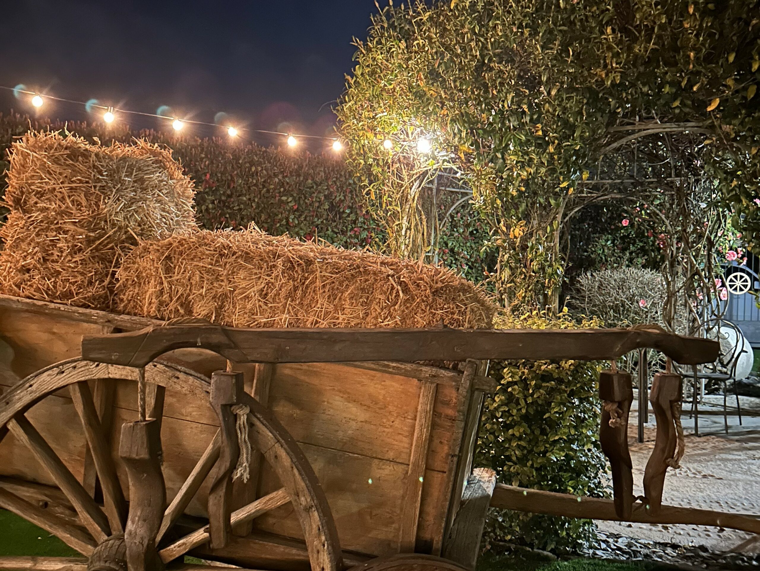 gallery giardino - IL GIARDINO DEL RISTORO l'oasi di relax e benessere - location calda e autentica atmosfera piemontese